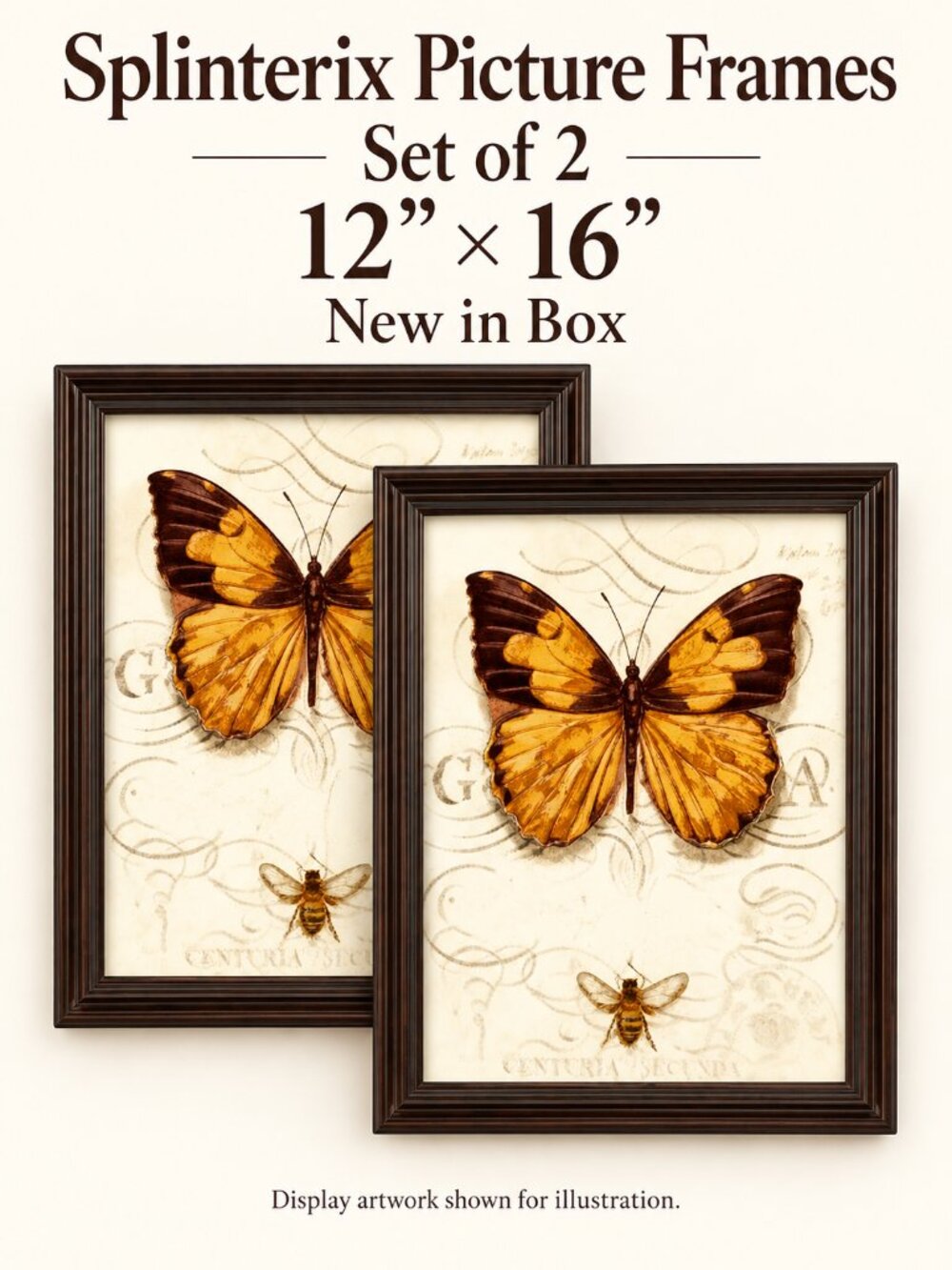 Splinterix 12x16 Picture Frames Set of 2 Dark Brown Matted 8.5x11 NIB